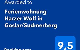 Ferienwohnung Harzer Wolf in Goslar/Sudmerberg